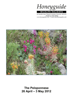 Peloponnese holiday report, April-May 2012