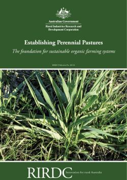 ORGANIC SYSTEMS Establishing Perennial Pastures