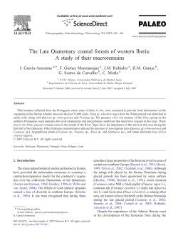 The Late Quaternary coastal forests of western Iberia: A study