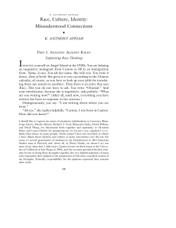 Race Culture Identity