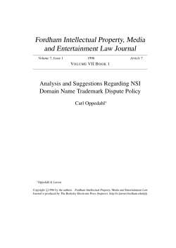 Analysis and Suggestions Regarding NSI Domain Name
