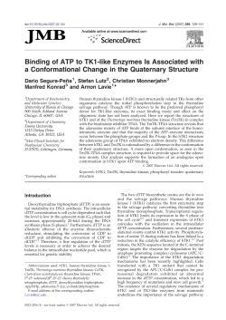 Binding of ATP to TK1-like Enzymes Is Associated