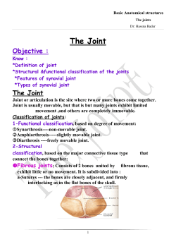 Basic Anatomical structures