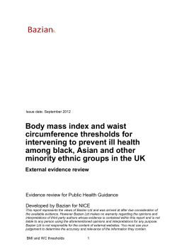 black and minority ethnic groups: evidence review