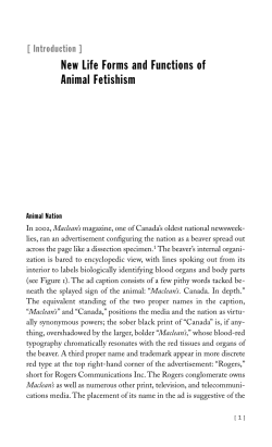 Intro to Animal Capital