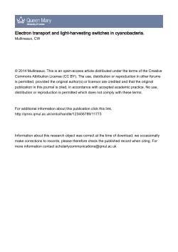 Published Version  - Queen Mary University of London