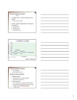 Action Potentials