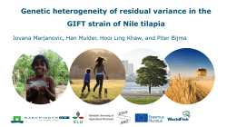 Genetic heterogeneity of residual variance in the GIFT strain of Nile