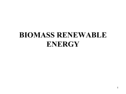BIOMASS RENEWABLE ENERGY