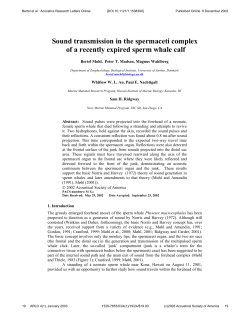 Sound transmission in the spermaceti complex of a recently expired