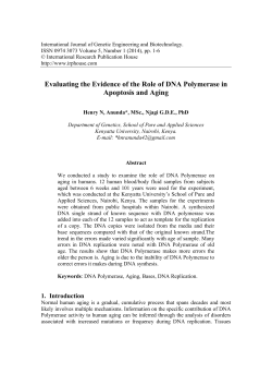 Evaluating the Evidence of the Role of DNA Polymerase in