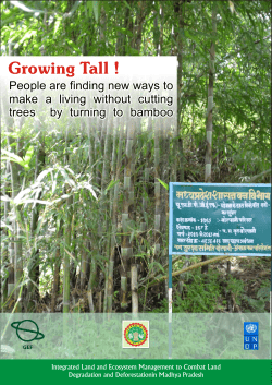 Growing Tall - Madhya Pradesh Forest Department