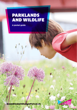 parklands and wildlife - Queen Elizabeth Olympic Park