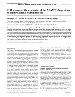 FSH stimulates the expression of the ADAMTS