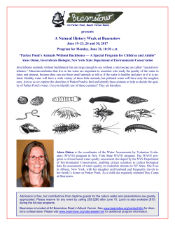A Natural History Week at Bearnstow