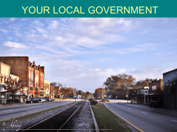 Georgia`s Local Governments