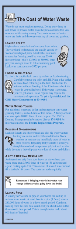 The Cost of Water Waste