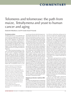 Telomeres and telomerase: the path from maize, Tetrahymena and
