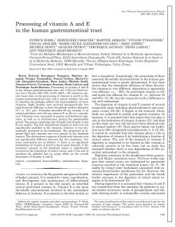 Processing of vitamin A and E in the human gastrointestinal tract