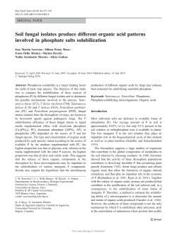 Soil fungal isolates produce different organic acid patterns involved