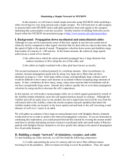Simple Network Tutorial - UC Davis Center for Neuroscience