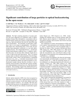 Significant contribution of large particles to optical backscattering in
