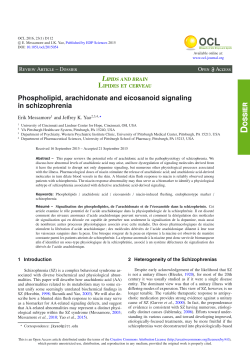 Phospholipid, arachidonate and eicosanoid signaling in schizophrenia