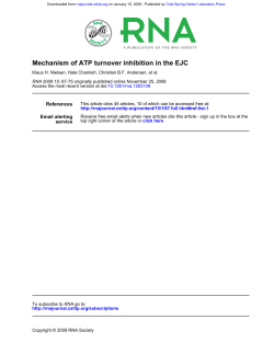 Mechanism of ATP turnover inhibition in the EJC
