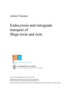 Endocytosis and retrograde transport of Shiga toxin and ricin