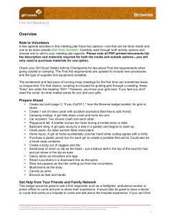 Meeting 2 - Girl Scouts of Greater New York