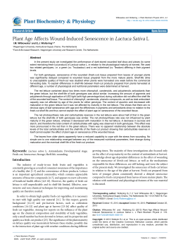 Plant Age Affects Wound-Induced Senescence in Lactuca Sativa L