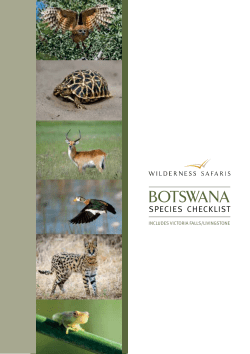botswana - Wilderness Safaris
