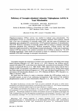 Deficiency of Uncoupler-stimulated Adenosine