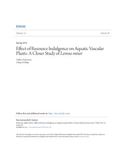 Effect of Resource Indulgence on Aquatic Vascular Plants: A Closer