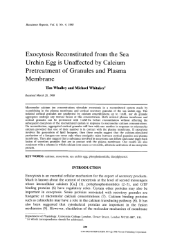 Exocytosis reconstituted from the sea urchin egg is unaffected by
