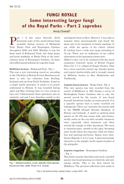 see PDF for Royal Parks Saprobic Fungi