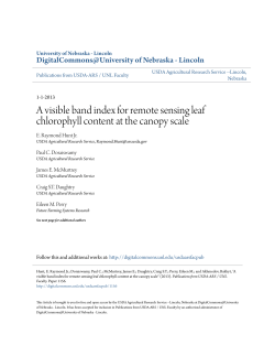 A visible band index for remote sensing leaf chlorophyll content at