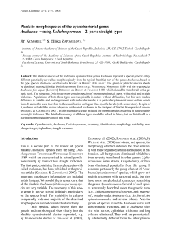 2. part: straight types.