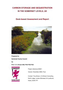 CARBON STORAGE AND SEQUESTRATION IN THE SOMERSET