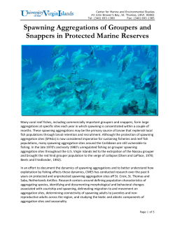 Spawning Aggregations of Groupers and Snappers in Protected