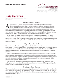 Rain Gardens - AgriLife Extension County Offices