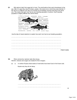 Q1. Wild salmon hatch from eggs laid in rivers. The small salmon