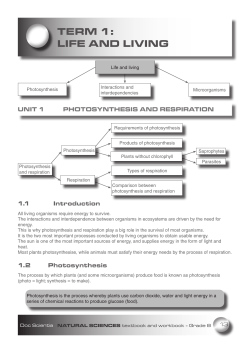 Content - Doc Scientia
