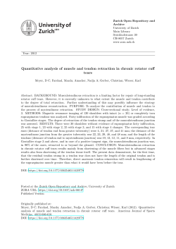 Quantitative analysis of muscle and tendon retraction in chronic
