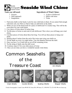 Ingredients of Wind Chime - Florida Oceanographic Society