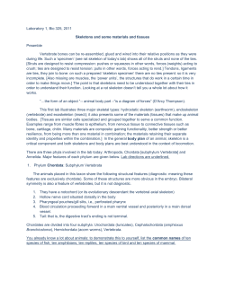 Laboratory 1, Bio 325, 2011 Skeletons and some materials and