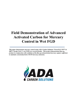 Mercury Control in Wet FGD