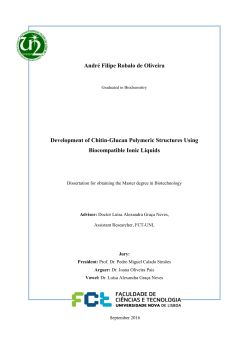 Andr&eacute; Filipe Robalo de Oliveira Development of Chitin