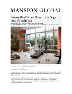 Luxury Real Estate Goes to the Dogs (and Chinchillas)