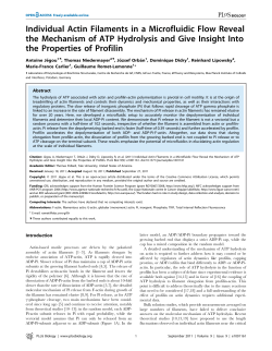 Individual Actin Filaments in a Microfluidic Flow Reveal the